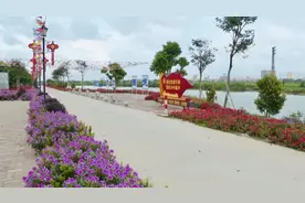 广东吴川这条村，出了很多富豪图片