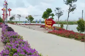 广东吴川这条村，出了很多富豪图片
