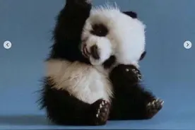 动物小时候都这么奶萌嘛？图片