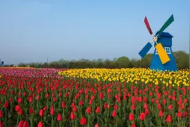 临沂滨河景区最全春季赏花地图来啦图片