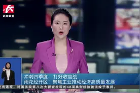 雨花经开区：聚焦主业推动经济高质量发展图片
