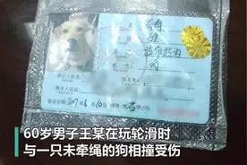 60岁大爷玩轮滑撞上狗致骨折，索赔23万被拒，狗主人：狗也瘸了图片