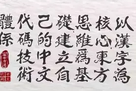 一封来自中文代码编程的公开信图片