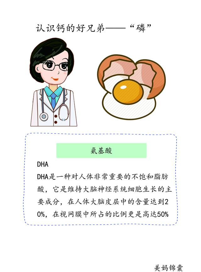 孕期必备营养素之氨基酸和DHA