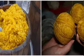 新研究让传统植物染色法重焕光彩图片