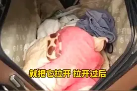 网约车行李箱中传出女孩叫声，真相令人愤怒图片