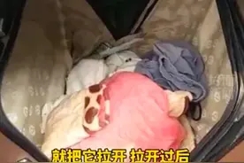 网约车行李箱中传出女孩叫声，真相令人愤怒图片