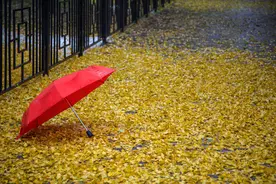 互相暗恋的两个人，通常会有这样的“默契”图片