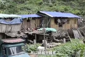90后夫妻深山中生9孩？官方回应：情况属实图片