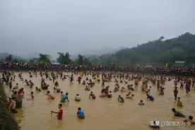 越南此地男女情人节专门下河抓鱼，期望新的一年运气越来越好图片