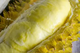 超市买榴莲时，学会这5招，挑出母榴莲，皮薄肉多，个个是5房果肉图片