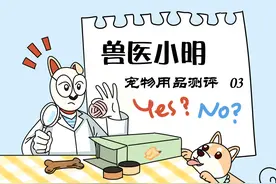 猫咪不爱喝水一个饮水机就能搞定？没那么神奇，饮食健康才是关键图片