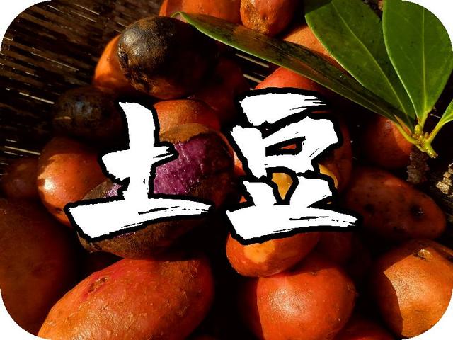 ʳ֮ãʩڶһ