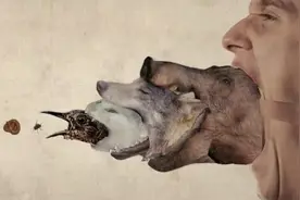 人类为什么吃食草动物的肉，却不怎么吃食肉动物的肉？看完涨知识图片