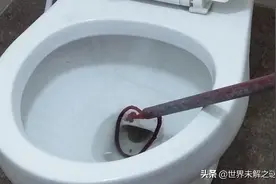3米长的眼镜蛇，现身贵州水电站马桶，为何马桶里屡次出现蛇？图片