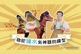 骆驼的驼峰竟然不是用来存水的？那它靠啥在沙漠里笑嘻嘻？图片