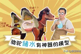 骆驼的驼峰竟然不是用来存水的？那它靠啥在沙漠里笑嘻嘻？图片