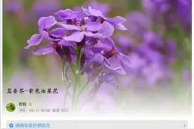 （原创诗歌）思念的人，在何方  作者/冬日的阳光图片