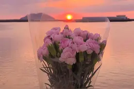 日落时分的天空和鲜花，今天也要开心呀图片