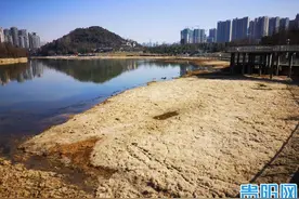 干了一大半！泉湖公园的水去哪里了？图片