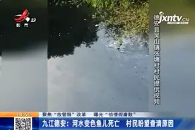 九江德安：河水变色鱼儿死亡，原因却成谜？村民怀疑上游在排污图片