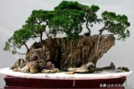 雅石图鉴匮要_吸水石图片