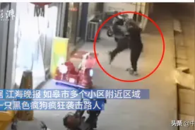 江苏如皋连续咬伤21人恶犬已抓获，最小伤者3岁图片