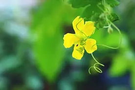 速读巨蟹座：善解人意的高手，做他们的恋人很幸福图片