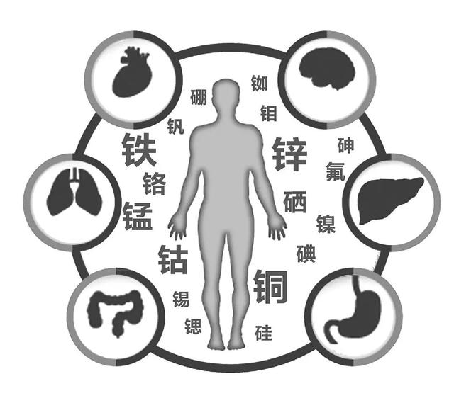 鸡蛋胶好还是花胶好 2026年鸡蛋胶好还是花胶好呢