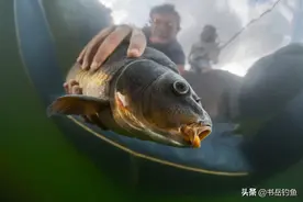 细数钓鱼大师风光背后，那些不为人知的努力和辛酸，让人敬佩不已图片