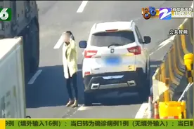 在高速上倒车问路 去处理又错过路 女司机这波操作太雷人图片
