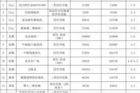 靓地！番禺新造、金沙洲、同德围...广州1季度供地计划曝光图片