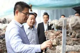 市委书记王建军：让集体经济创造出高出贫困户自己经营的效益图片