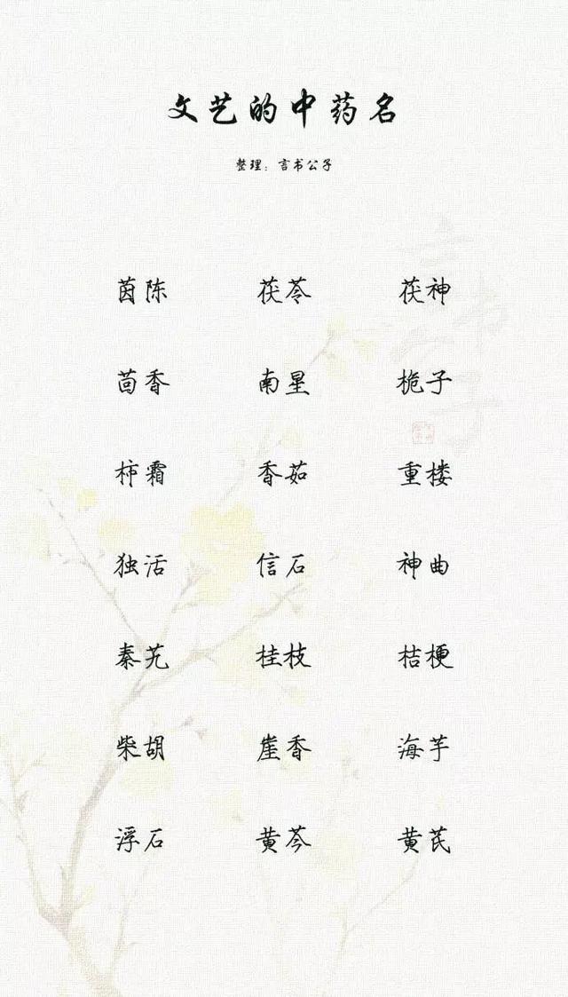 文艺的中药名，以中药名取名，唯美有诗意