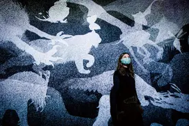 未来，仿生人可以跟电子羊沟通吗？图片