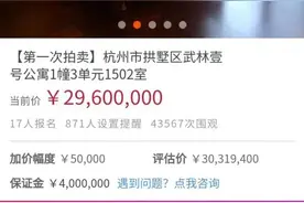 竞拍119次！杭州武林壹号豪宅2960万成交图片
