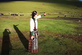 牦牛随感录图片