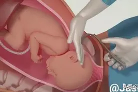 3D演示生产过程，母爱真伟大[爱心]图片