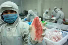 海南开始大力推广 “海南鲷”，知道真相后的你，会吃么？图片