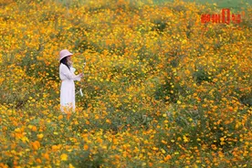 国庆没玩够？柳州又一宝藏地藏不住了！坐竹筏游江，拍花海美照图片