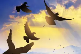 我，第一份工作干了8年半，5个领导都说，生活远比工作更重要图片