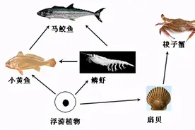 临沂罗庄2021年八年级生物一轮验收考试，图片版及答案，又来了图片