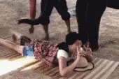 滑稽GIF：这大象也太不严肃了吧图片