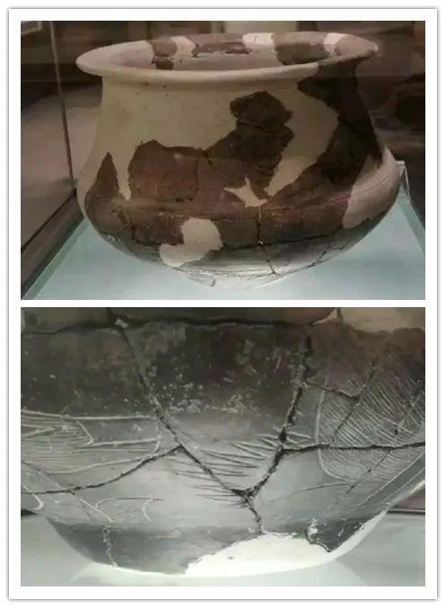 原始牛角化石多少钱