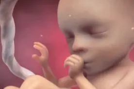 肚子里的宝宝是吃屎长大的？别笑，呛到就很危险了图片