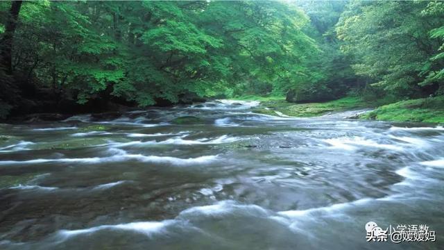 四年级下册语文第17课《记金华的双龙洞》图文详解及同步练习