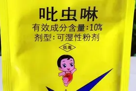 吡虫啉搭配阿维菌素使用，能防几十种害虫，杀虫剂中的黄金搭档！图片