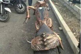 男子定制“恶灵骑士”摩托车，回头率太高，当街有人出70万要买图片