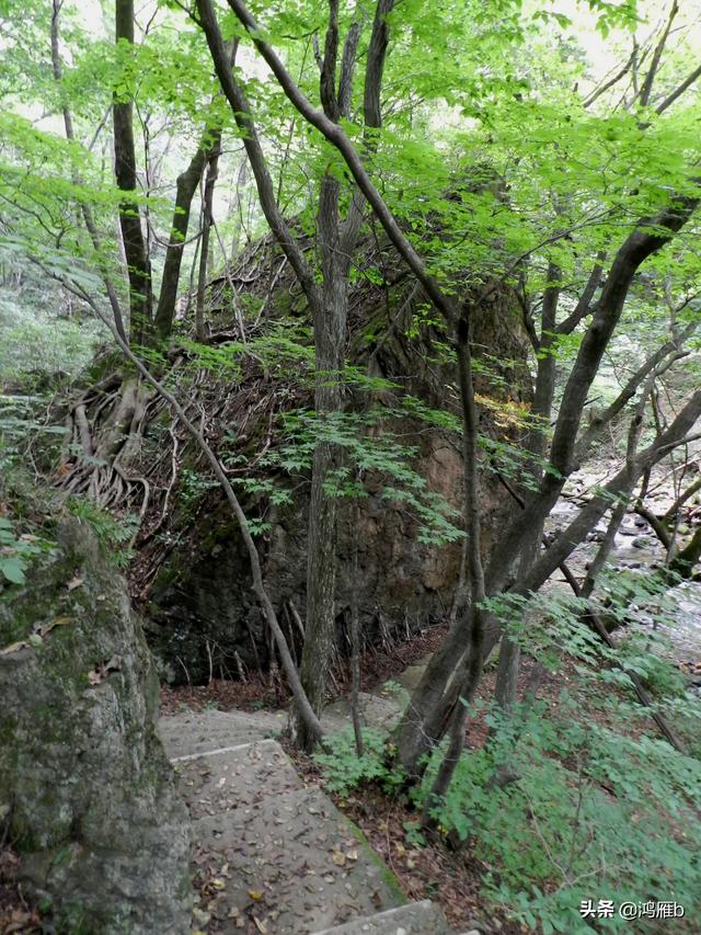 重走抗联路——本溪关门山森林公园鸣翠谷景区抗联秘营