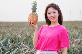 “菠萝的海”追梦人①｜这个眉眼弯弯的女孩要把菠萝卖到全世界图片